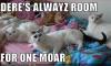 NERRCAT SEZ